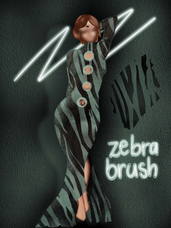 Zebra Fashion Brush 3 Zebra Fashion Brush